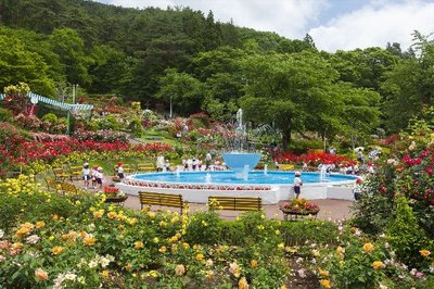 🌹 하나마키 온천 장미정원 (하나마키 온센 바라엔) 이미지 2